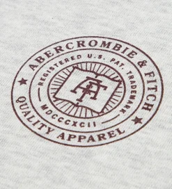 Abercrombie & Fitch Hættetrøje - Lysegråmeleret m. Print