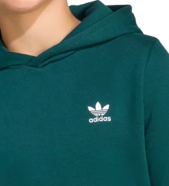 adidas Originale Hættetrøje - Aurora Ivy