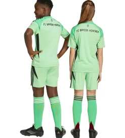 adidas Performance Shorts - FC bayern München 25/26 Målmand - Gl