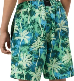 Björn Borg Badeshorts - Print - Grøn/Blå m. Palmer