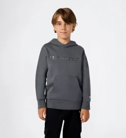 Champion Hættetrøje - Forged Steel Grey