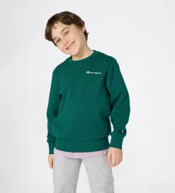 Champion Sweatshirt - Forest Peak Green