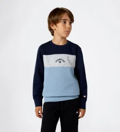 Champion Sweatshirt - Sky Captain