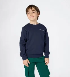 Champion Sweatshirt - Sky Captain