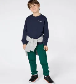 Champion Sweatshirt - Sky Captain