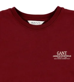 GANT T-shirt - Graphic - Plumped Red