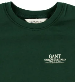 GANT T-shirt - Graphic - Tartan Green