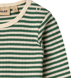 Wheat Body l/æ - Rib - Berti - Green Stripe